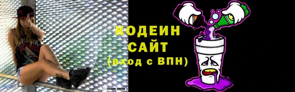 первитин Каменка