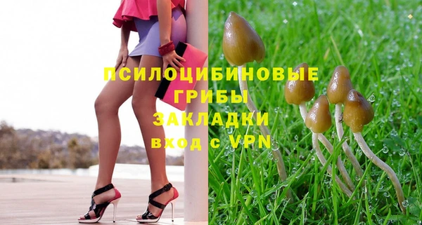 первитин Каменка
