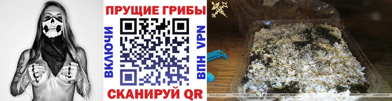 Галлюциногенные грибы Psilocybe  Купить  Гуково 